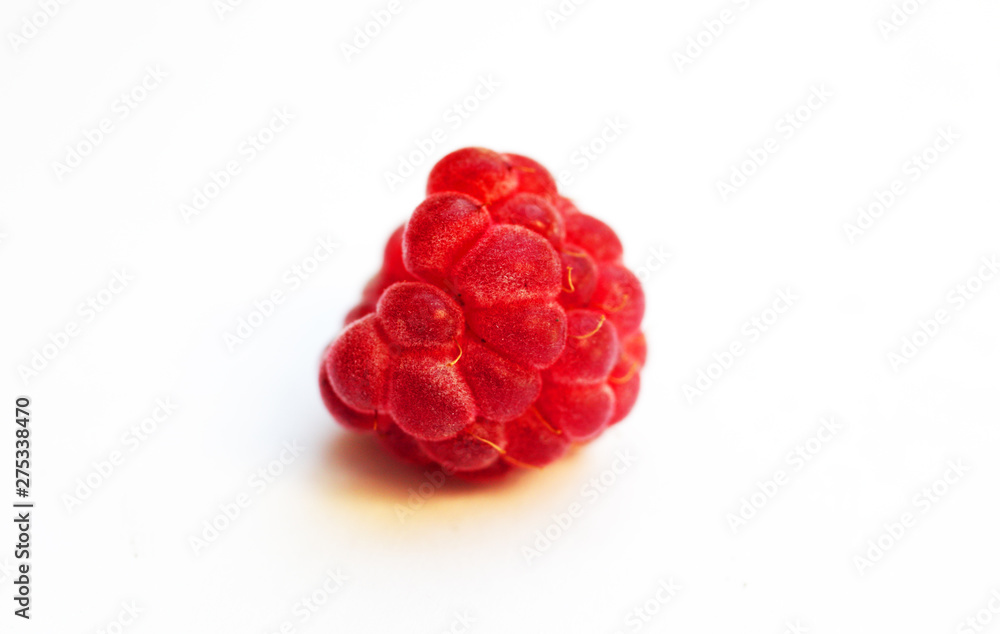 Raspberry on white background macro Raspberry on white background macro