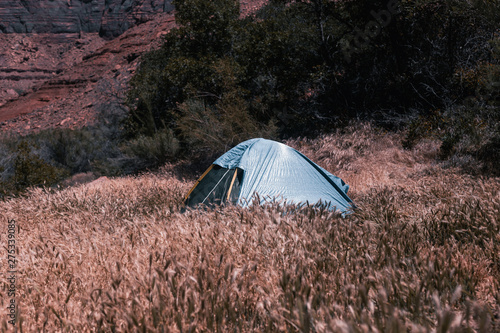 tent in the forest