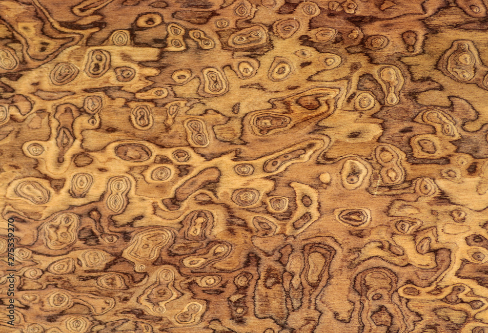 Examples of wood veneers made of different types of wood to give a wooden appearance by being coated on chipboard