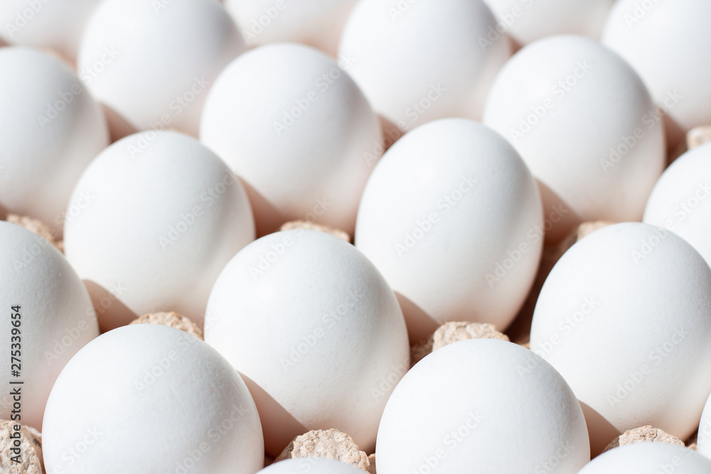Fresh eggs isolated. White eggs in tray Fresh eggs isolated. White eggs in tray