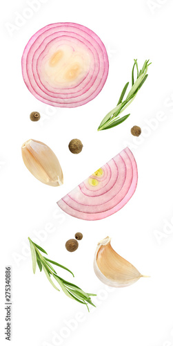 Red onion circle and different spices rosemary, allspice, garlic soaring, falling, flying in the air isolated on white background with clipping path. Set of parts.