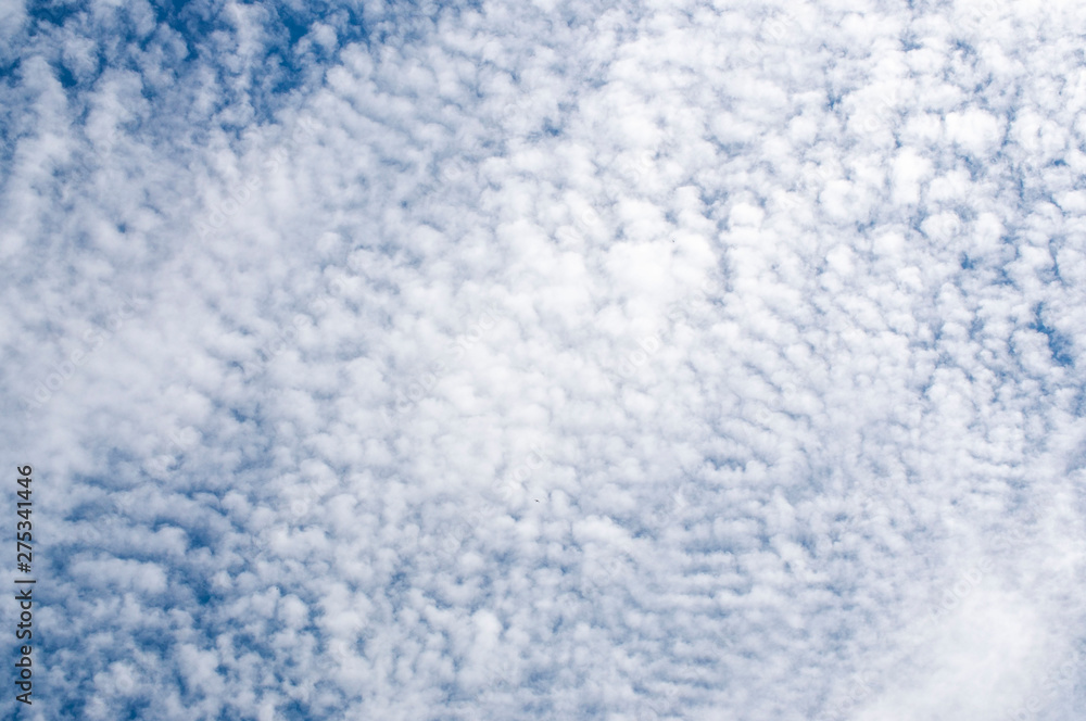 cirrocumulus clouds in the blue sky cirrocumulus clouds in the blue sky