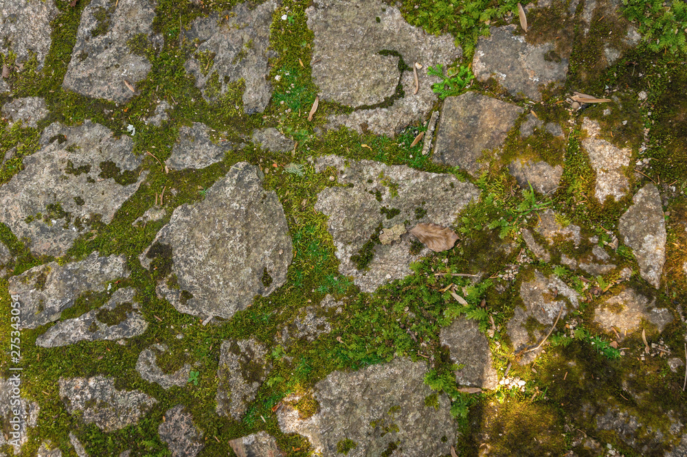Moss and cobblestone road Texture for Background Moss and cobblestone road Texture for Background