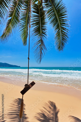 Swings and palm on the sand beach.