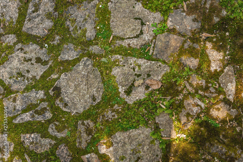 Moss and cobblestone road Texture for Background