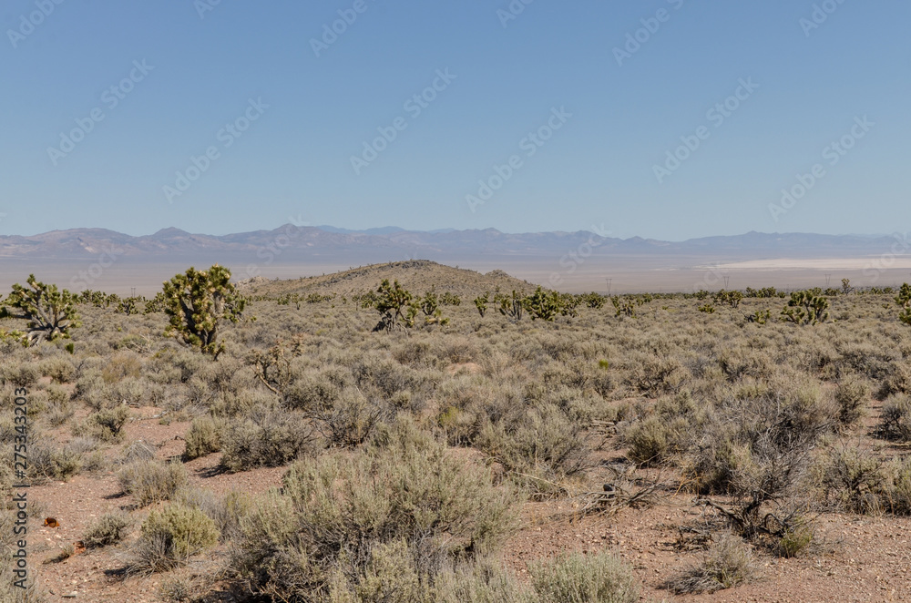 salt flat in the desert near Pahroc range scenic view from Great Basin Highway (Caliente, Lincoln county, Nevada)