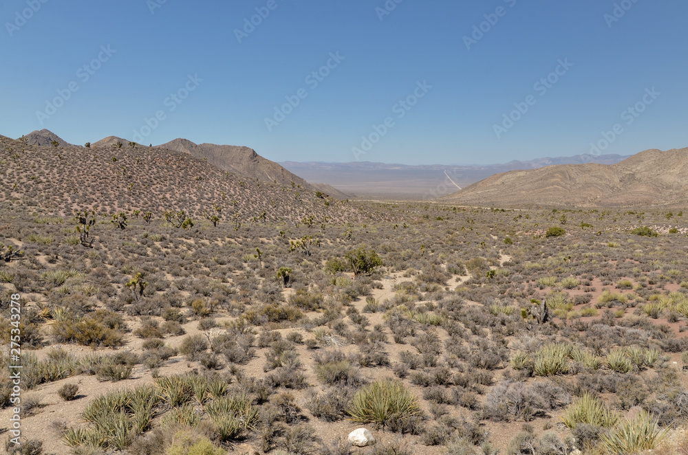 scenic view of Tikaboo Valley from Hancock Summit on Extraterrestrial Highway (Lincoln county, Nevada, USA)