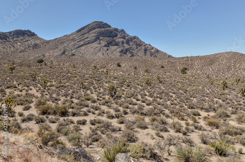 scenic view of Pahranagat Range from Extraterrestrial Highway (Lincoln county, Nevada, USA)