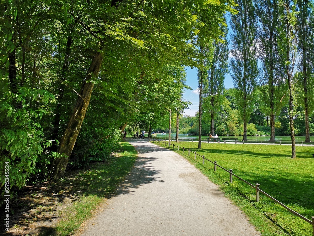 A road with green grass and threes, time to Go for a Walk, Go outside, Go to the Park, Spaziergang im Grünen