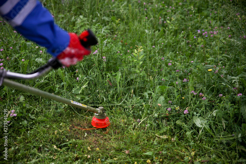 The gardener slams grass in the garden with a Brushcutter photo