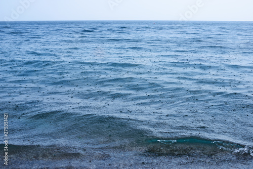 rain on sea