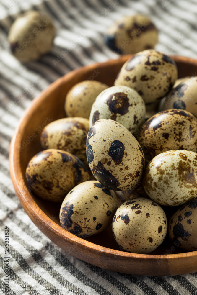 Raw Organic Spotted Quail Eggs Raw Organic Spotted Quail Eggs