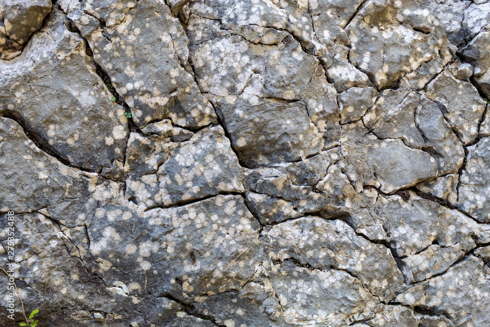 Grayish Cracked Old Weathered Natural Stone Texture Grayish Cracked Old Weathered Natural Stone Texture