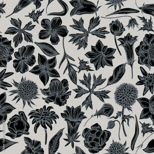 Seamless pattern with hand drawn stylized bellflower, edelweiss, globethistle, globeflower, meadow geranium, gentiana