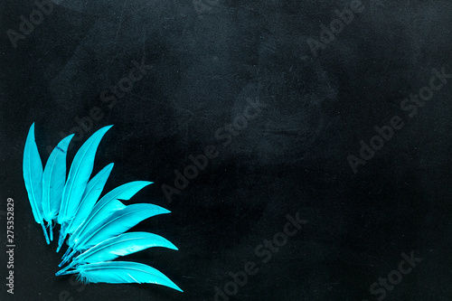 abstract pattern with bright bird feathers on black background top view space for text