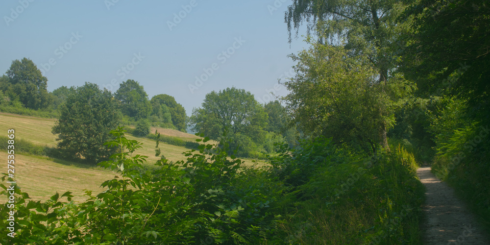 Dutch Landscape in summer with trees Dutch Landscape in summer with trees