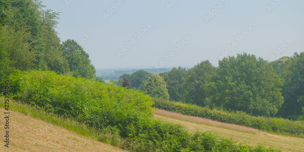 Dutch Landscape in  summer with trees