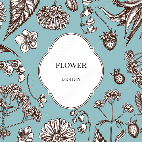Badge over design with aloe, calendula, lily of the valley, nettle, strawberry, valerian