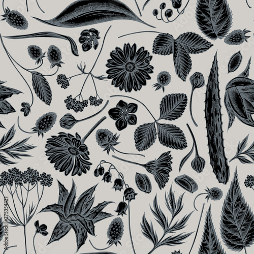 Seamless pattern with hand drawn stylized aloe, calendula, lily of the valley, nettle, strawberry, valerian