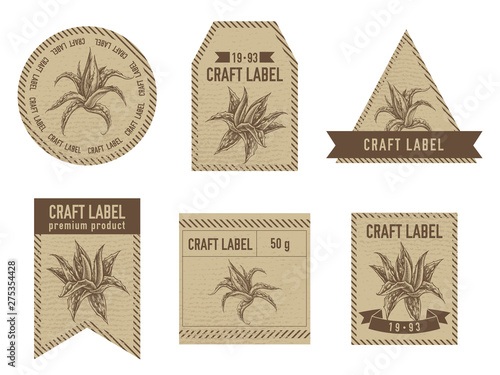 Craft labels with aloe stock illustration