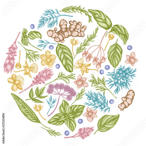 Round floral design with pastel angelica, basil, juniper, hypericum, rosemary, turmeric