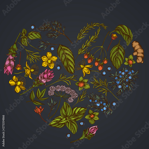 Heart floral design on dark background with angelica, basil, juniper, hypericum, rosemary, turmeric