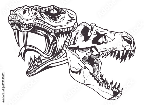 snake head and dinosaur skeleton head