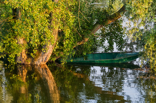 Danube island (Šodroš) near Novi Sad, Serbia. Parked fishing boat next to the tree in the water.