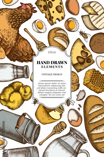 Card design with colored milk, cheese, chicken, eggs, buns and bread, honey