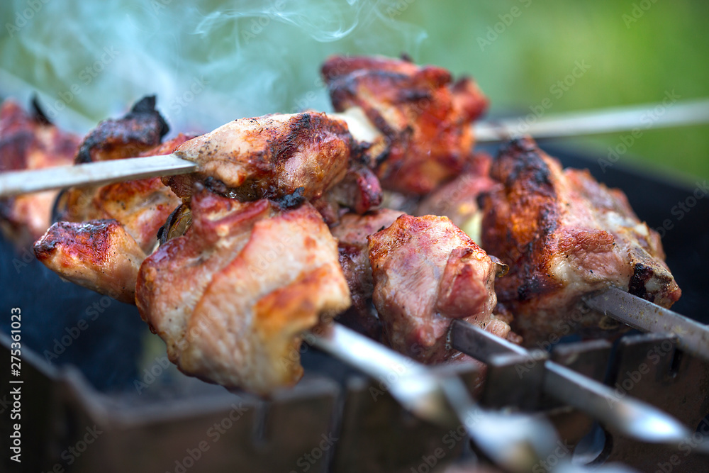 cooking delicious juicy grilled meat on the fire cooking delicious juicy grilled meat on the fire