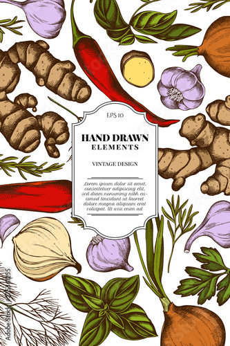 Card design with colored onion, garlic, pepper, greenery, ginger, basil, rosemary