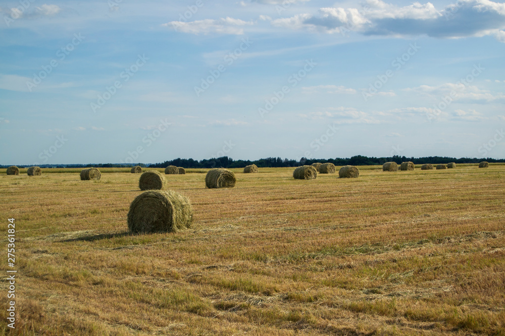 Harvesting of straw in the rural landscape