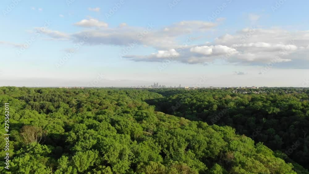 Forest flyover during sunset with Philadelphia skyline in distance Forest flyover during sunset with Philadelphia skyline in distance