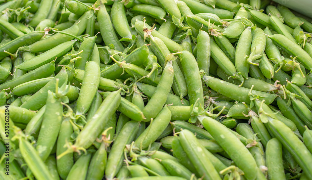 Close-up fresh green pea pods. Farmers market concepts. Close-up fresh green pea pods. Farmers market concepts.