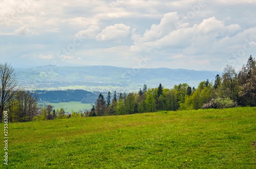 Beautiful spring mountain landscape. Green rural scenery on the hills.