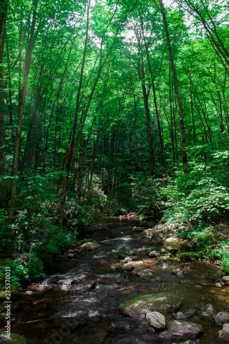 Smoky Mountains Tennessee