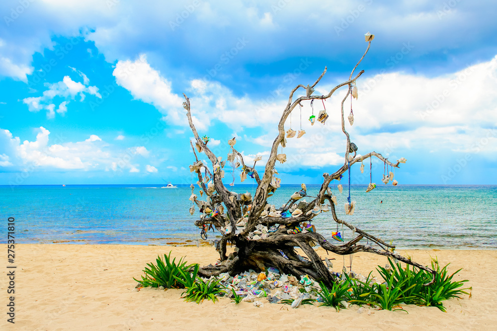Beach Landscape with a Decorated Tree.
