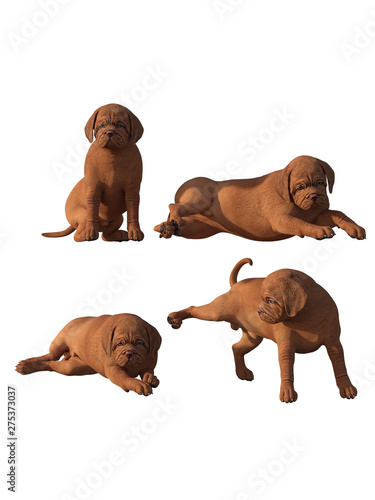 Cut brown puppy four poses. 3d renderings. 3d illustrations.