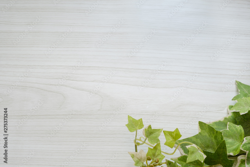 背景素材 白木 バックグラウンド ホワイト グリーン 葉っぱ Stock Foto Adobe Stock 背景素材 白木 バックグラウンド ホワイト グリーン 葉っぱ Stock Foto Adobe Stock