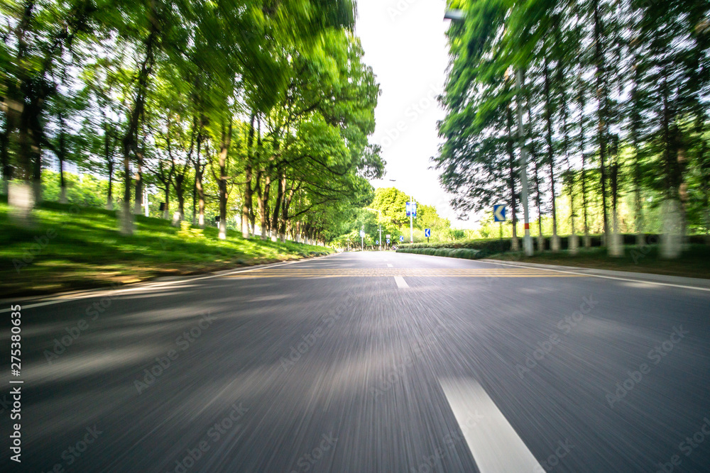 Obraz premium road in forest