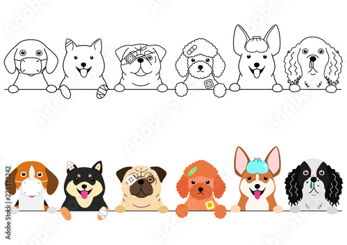 unhappy sick small dogs border