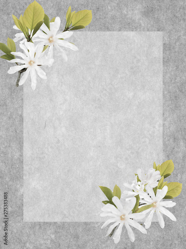 White magnolia flower bouquet decoration on paper