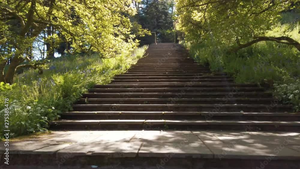 Camera travelling up old stone steps in the English countryside. Trees form a canopy above where light flickers through from the sun. Camera travelling up old stone steps in the English countryside. Trees form a canopy above where light flickers through from the sun.