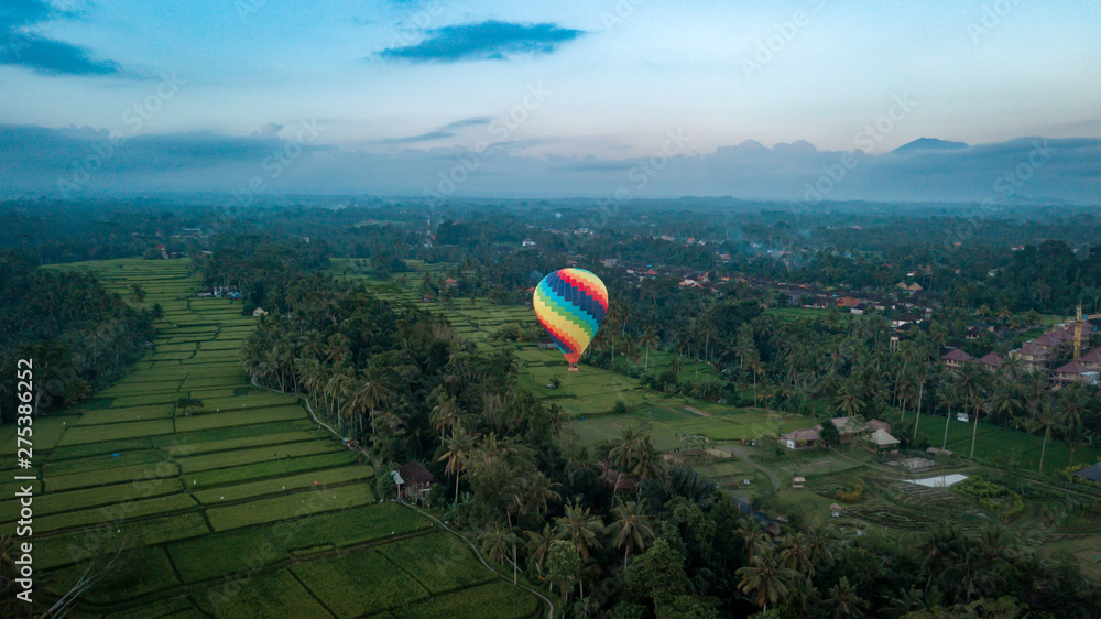 Obraz premium Hot Air Ballon in Bali Indonesia