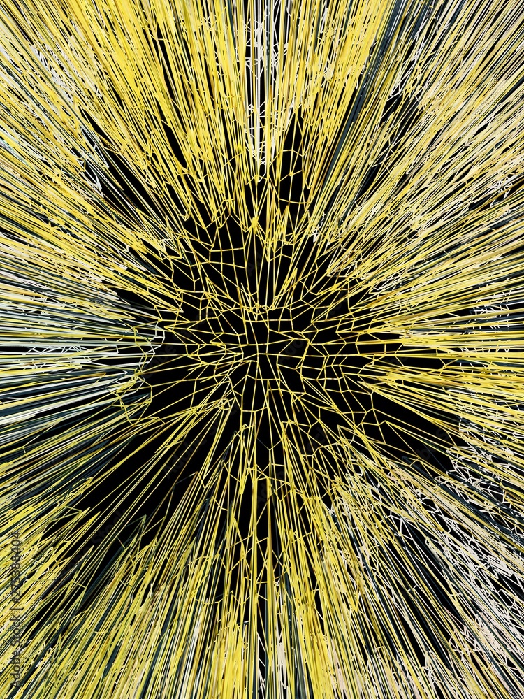 abstract images in a radial pattern