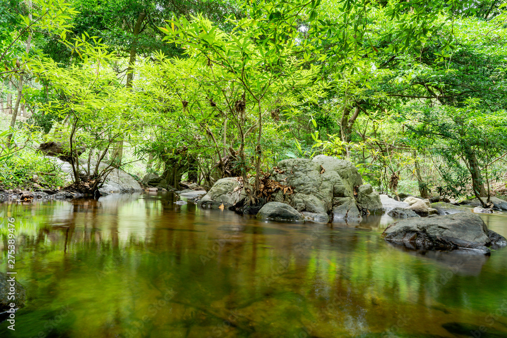 The streams in the waterfalls of Satong see trees in the water. Behind the forest The streams in the waterfalls of Satong see trees in the water. Behind the forest