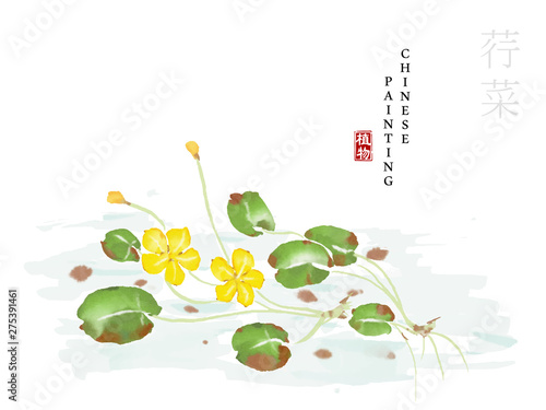 Watercolor Chinese ink paint art illustration nature plant from The Book of Songs Nymphoides peltatum. Translation for the Chinese word : Plant and Nymphoides peltatum