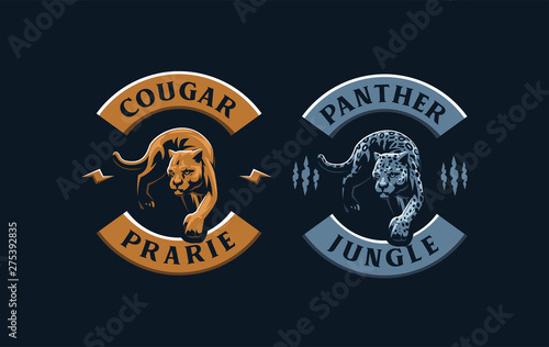The image of a cougar or panther.