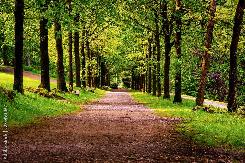 Allee Allee