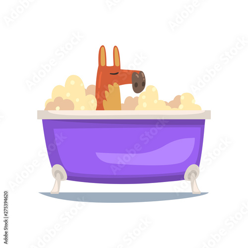 Funny Kangaroo Taking Bath, Funny Animal Cartoon Character Relaxing in Bathtub Full of Foam Vector Illustration